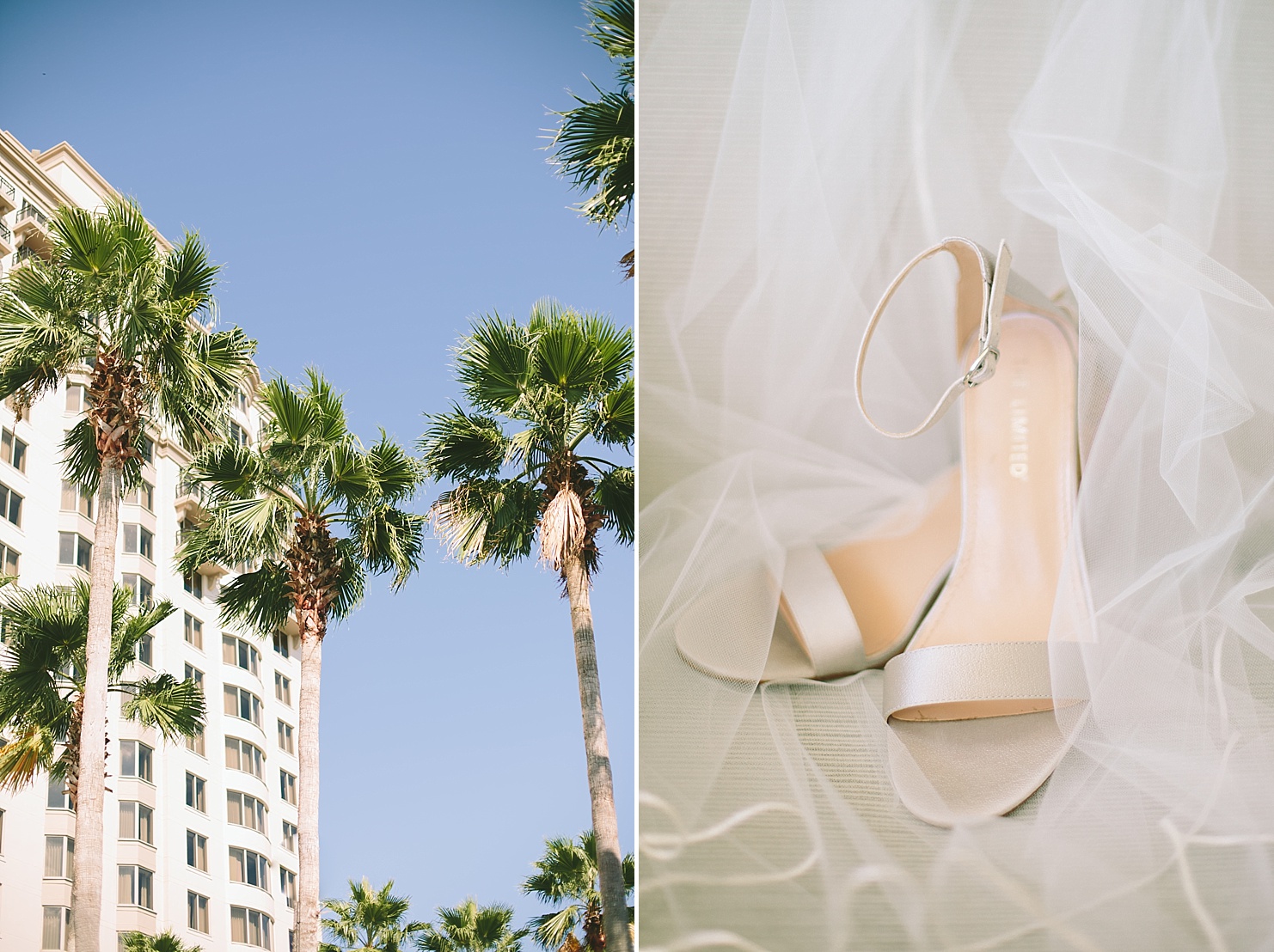 Palm trees and bride's shoes